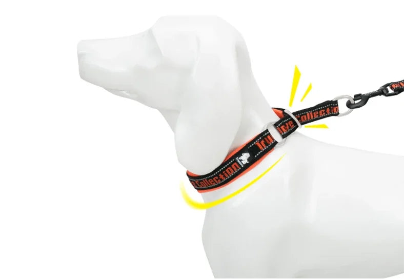 Rufus and Rusty Neoprene Comfort Collar