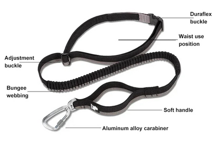 Rufus and Rusty Running Bungee Leash