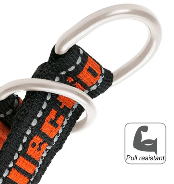 Rufus and Rusty Neoprene Comfort Collar