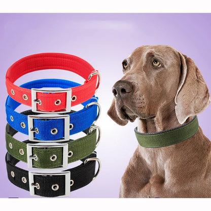 Rufus and Rusty Nylon Dog Collar