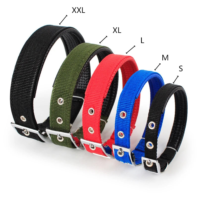 Rufus and Rusty Nylon Dog Collar