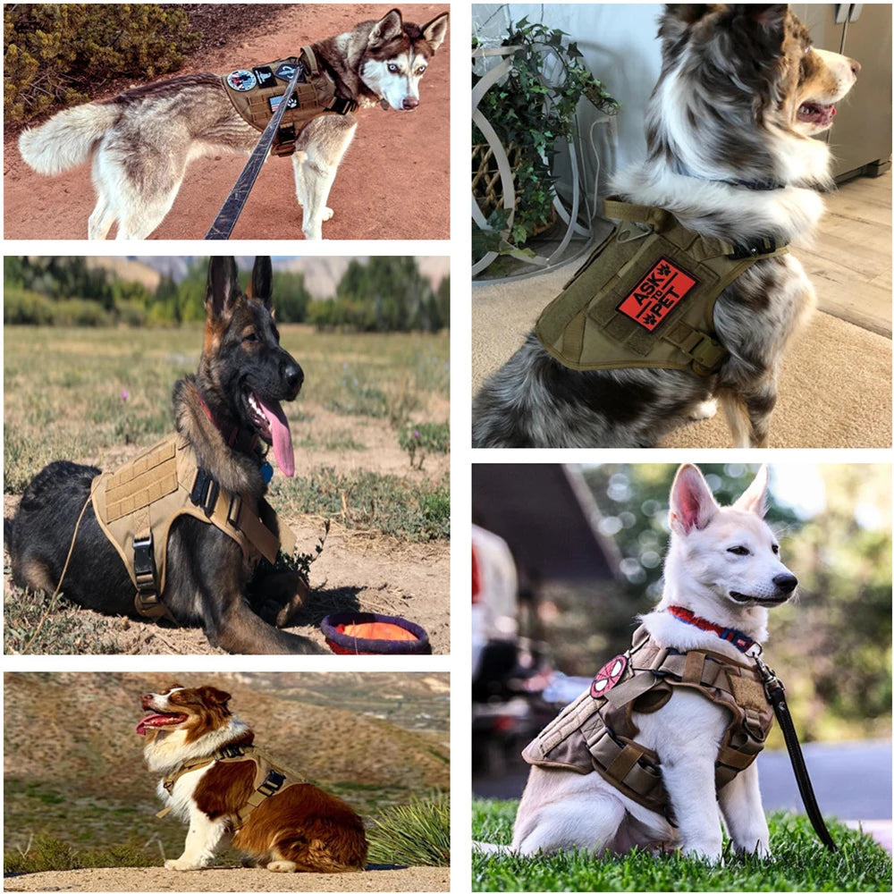 Military Large Dog Harness