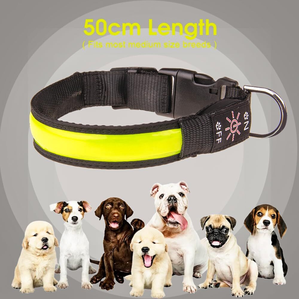 LED Dog Collar with USB Rechargeable Flashing Light