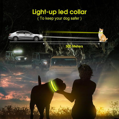 LED Dog Collar with USB Rechargeable Flashing Light