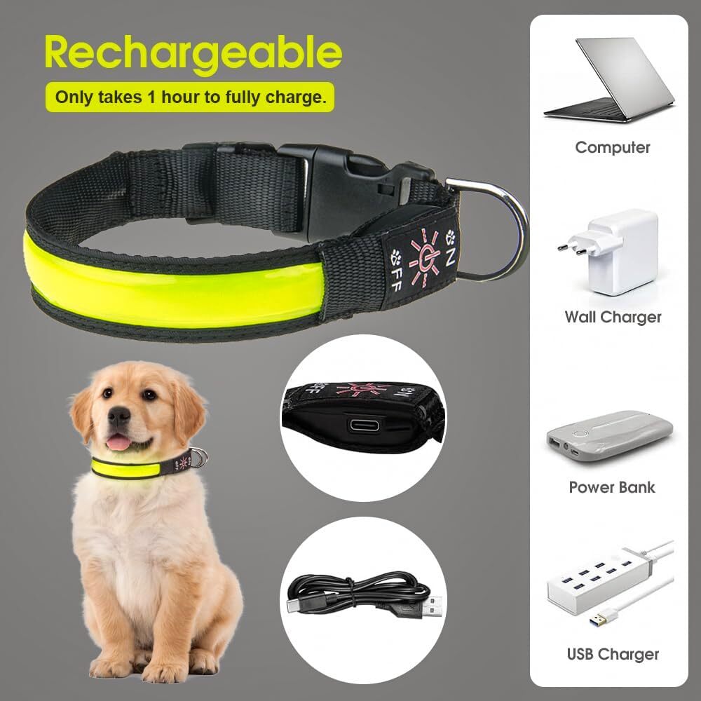 LED Dog Collar with USB Rechargeable Flashing Light